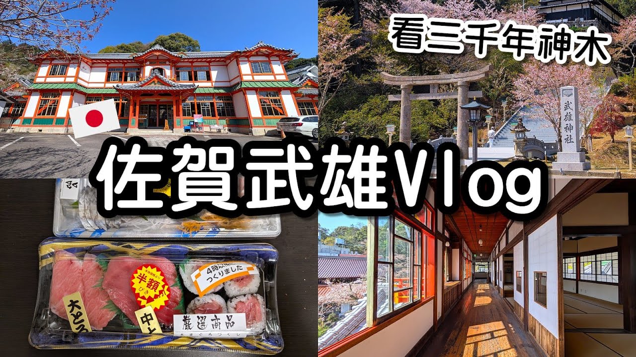 【日本Vlog #21】佐賀武雄散策｜傳說中的三千年神木超壯觀｜半價生魚片開箱好划算？｜佐賀自由行｜Patterson派特森