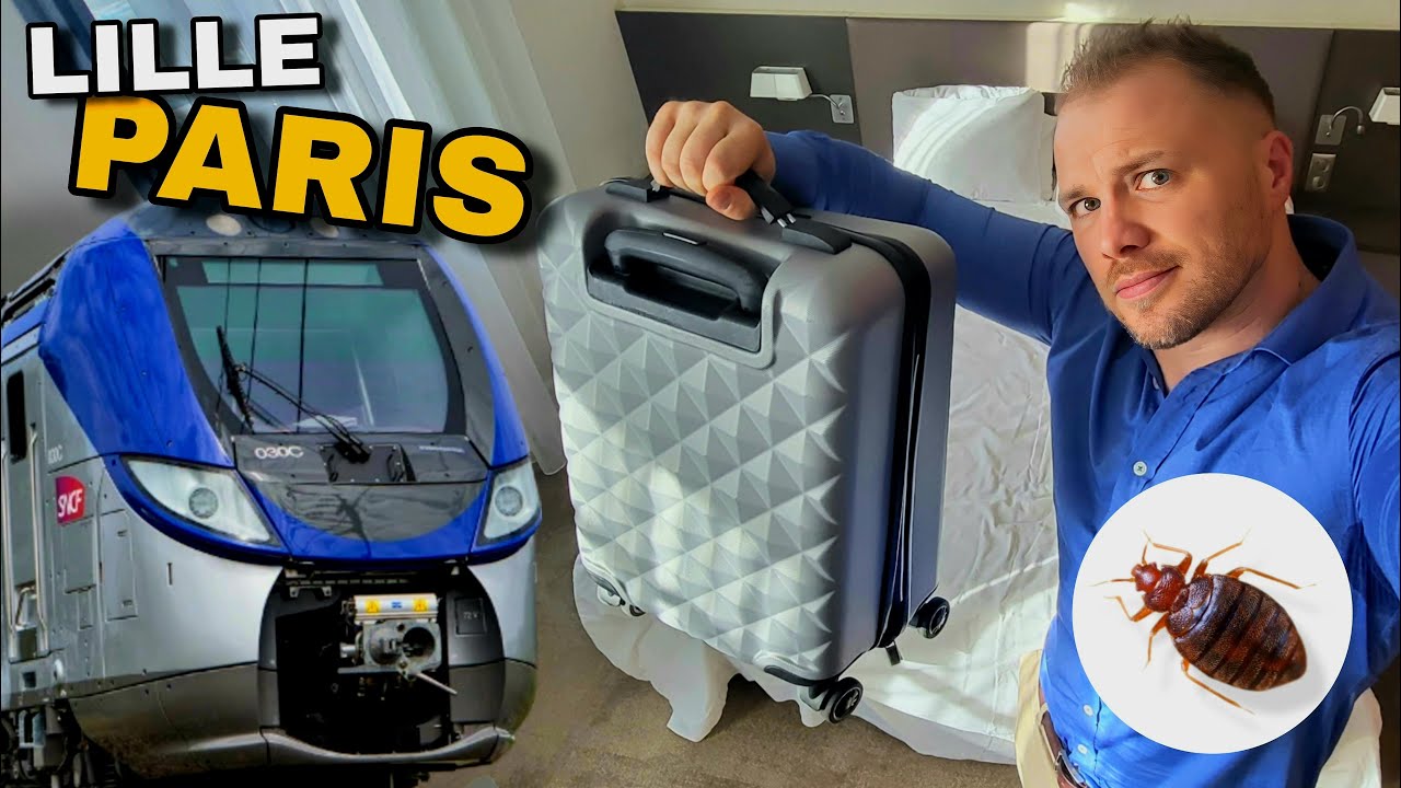 Comment éviter de transporter des punaises de lit lorsqu'on voyage ? (train, Uber & hôtel)