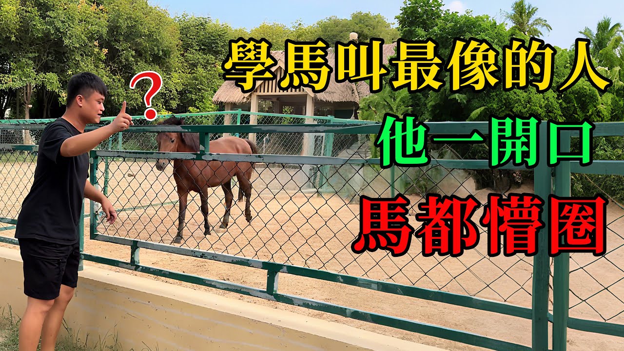 學馬叫最像的人，他一開口馬都懵圈 #動物的迷惑行為  #養動物的樂趣  #動物的心思都寫在臉上