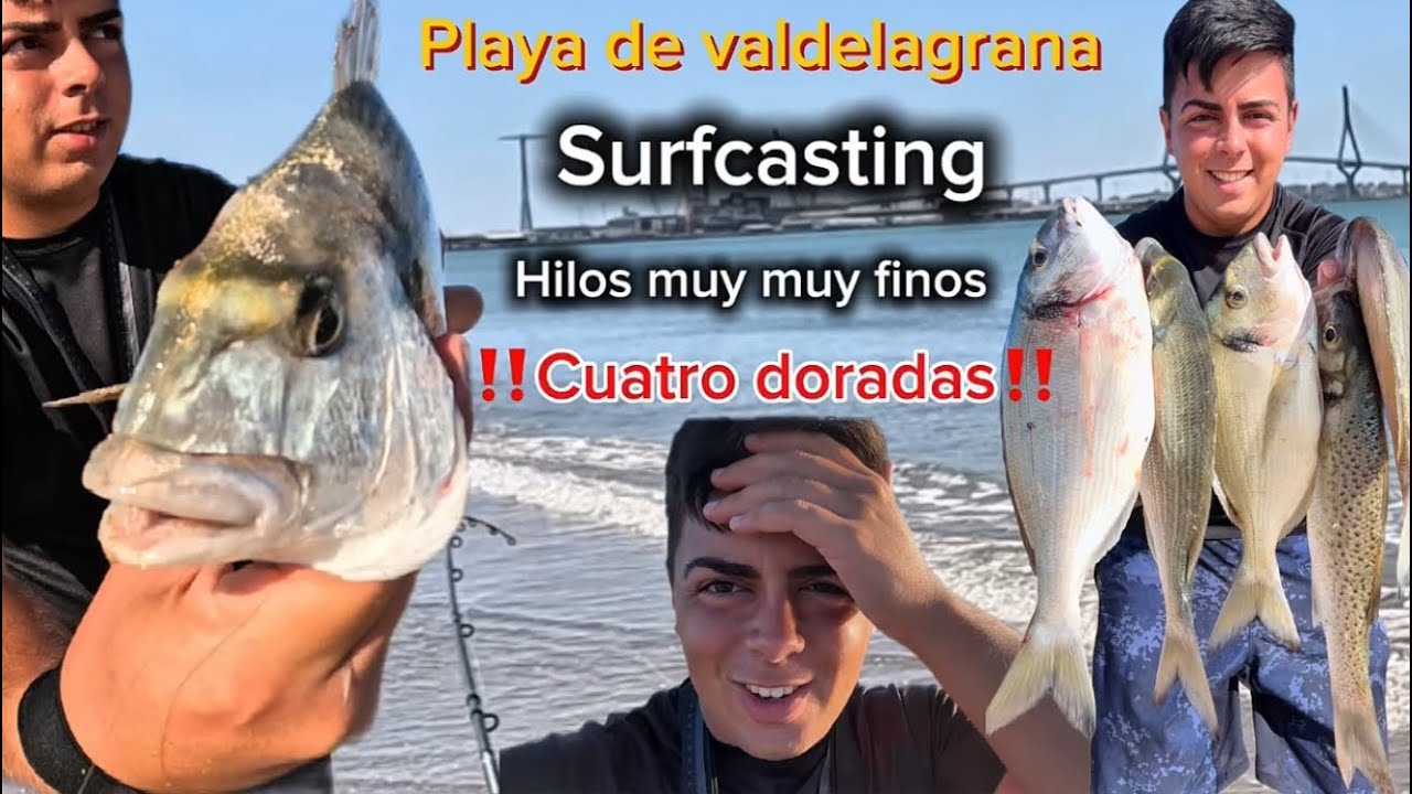 💥Póker de doradas💥en valdelagrana🏖️ 📹‼️Grabo mi primera jornada de surfcasting y me pasa esto…‼️