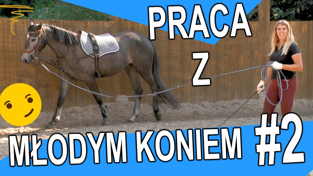 Praca z młodym koniem - Część 2
