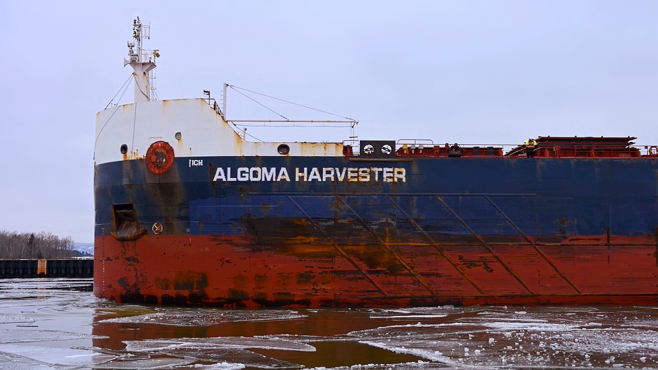 Algoma Harvester -  A Friendly Bear Bumps Through the Ice