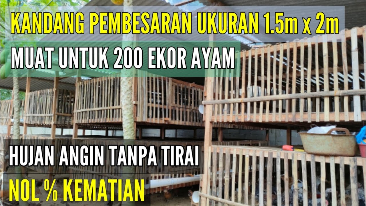 KANDANG PEMBESARAN ANTI VIRUS