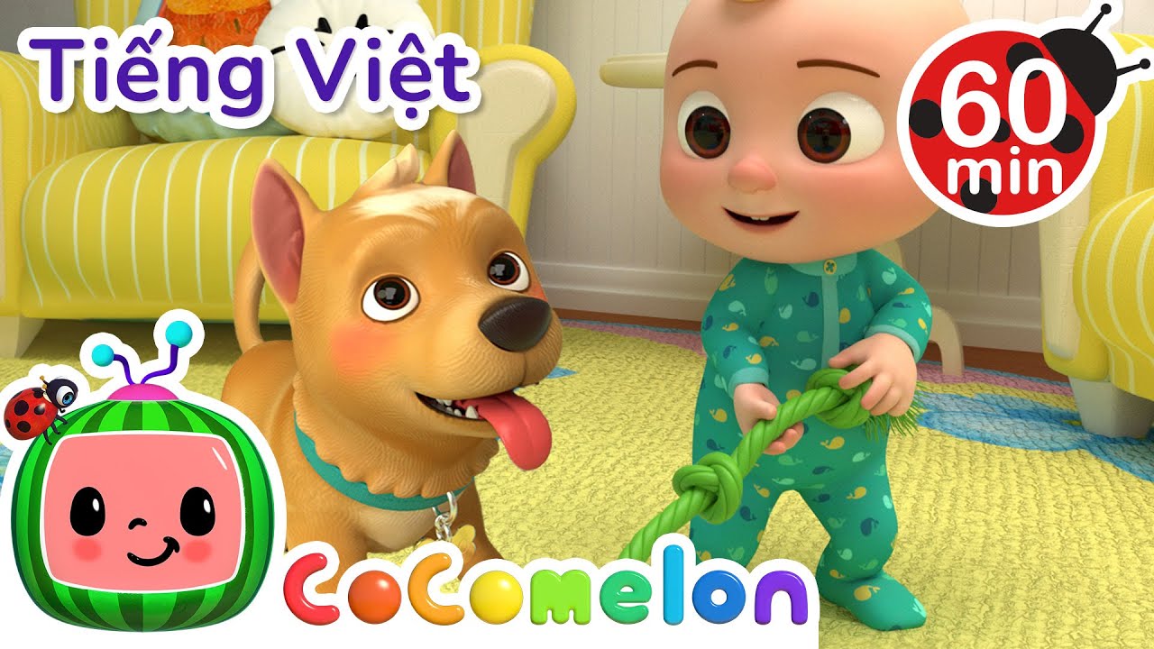 xin ch&agrave;o ch&uacute; ch&oacute; bingo | B&agrave;i h&aacute;t d&agrave;nh cho trẻ em | CoComelon Lồng tiếng việt