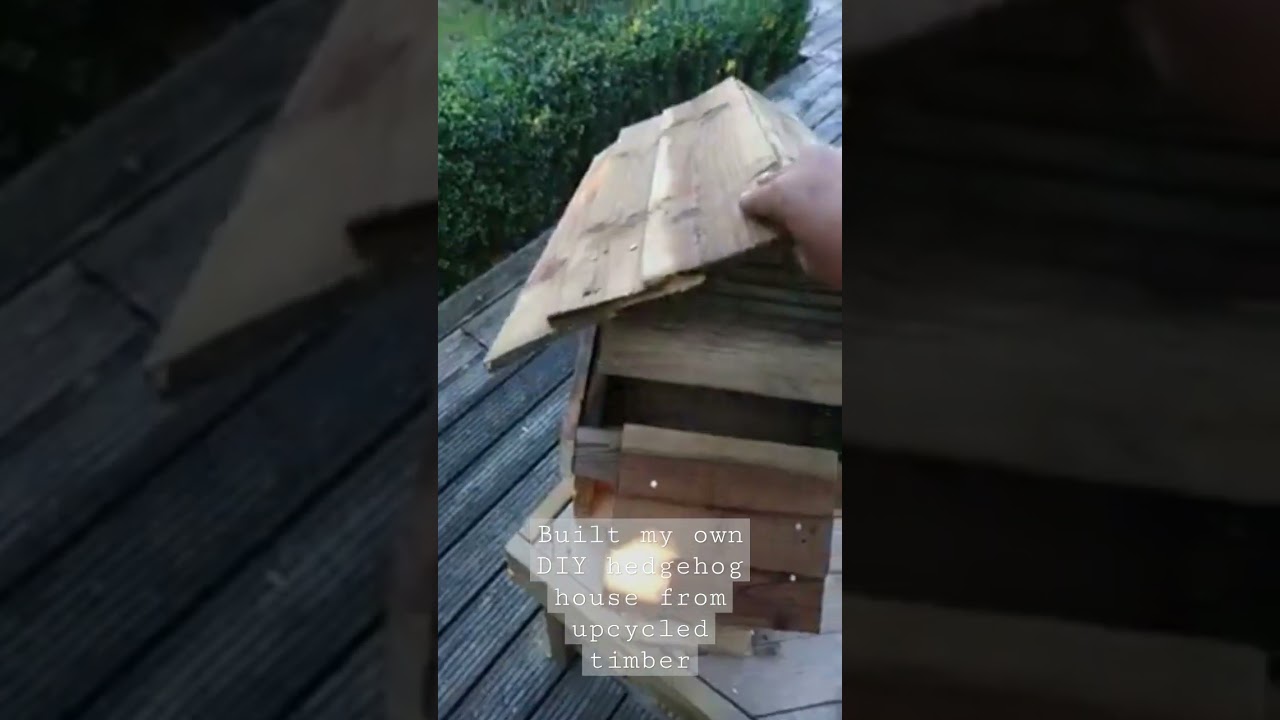 Built my own DIY hedgehog house #hedgehogawarenessweek #hedgehoghouse #hedgehog