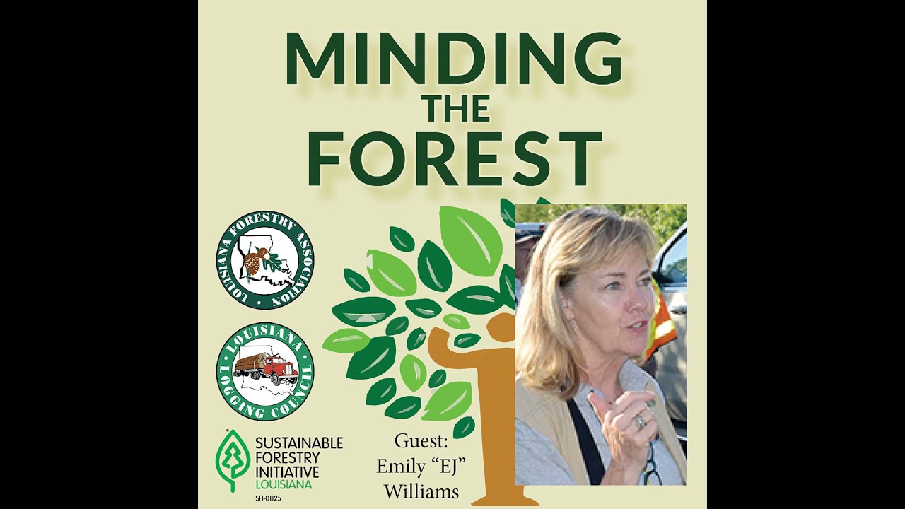 Managed forests are perfect for birds! — Ep. 63