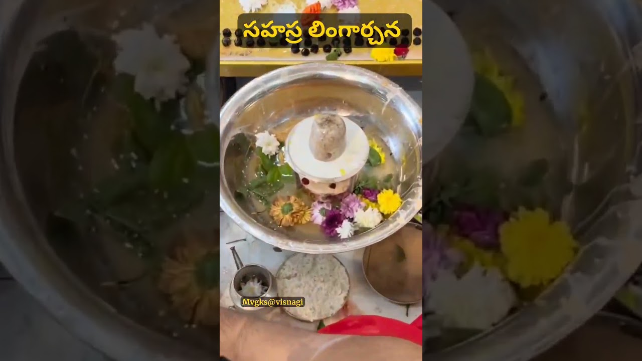 సహస్ర లింగార్చన 🌺🙏🌺.మహాదేవునికి ఇష్టమైన శుభ🌺 సోమవారం రోజున🌺  శివ దర్శనం 🌹మిక్కిలి శుభదాయకం 🙏💐..🙏 