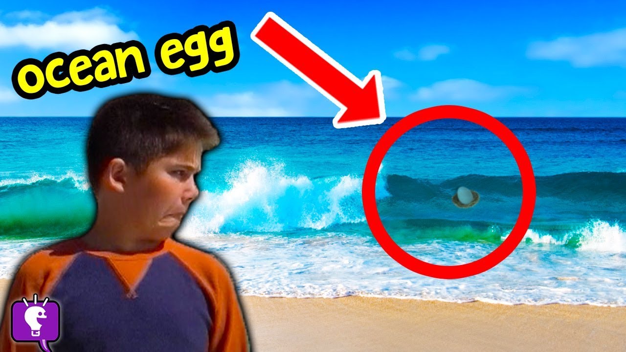 We Find SEA NESTS! Mystery EGG Clues Left to HobbyKids by D.Gold