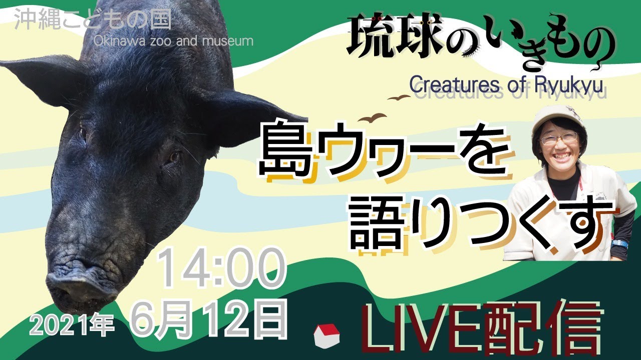 沖縄こどもの国ズージアムライブ【島ウヮーを語りつくす】