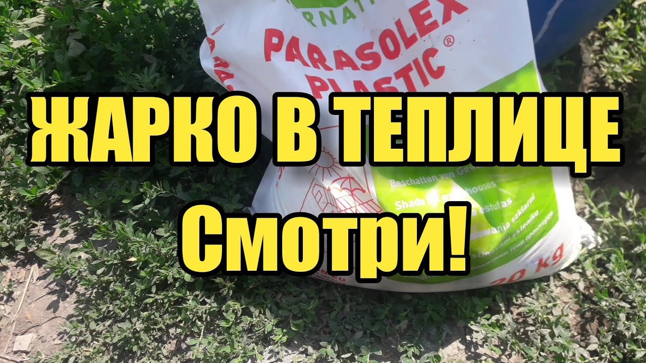 Краска Парасолекс и результат применения!