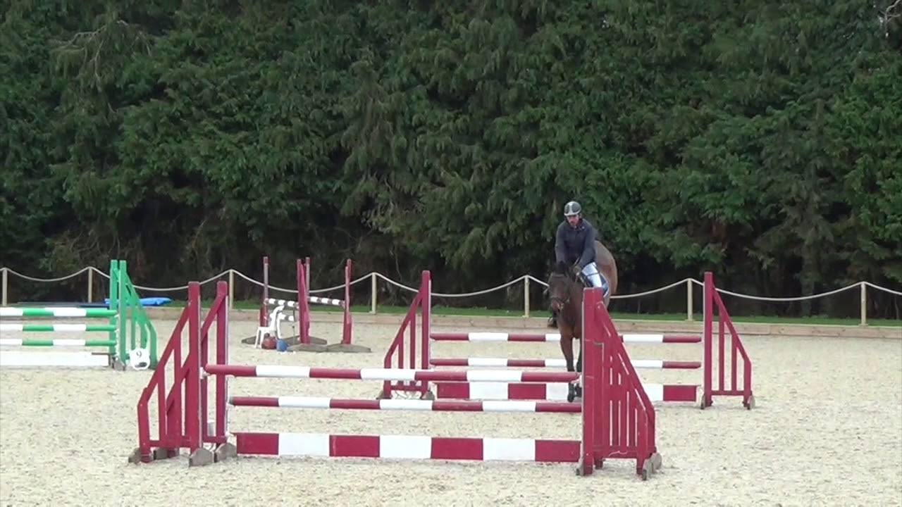 Colonel, Discovery, Bicton Arena