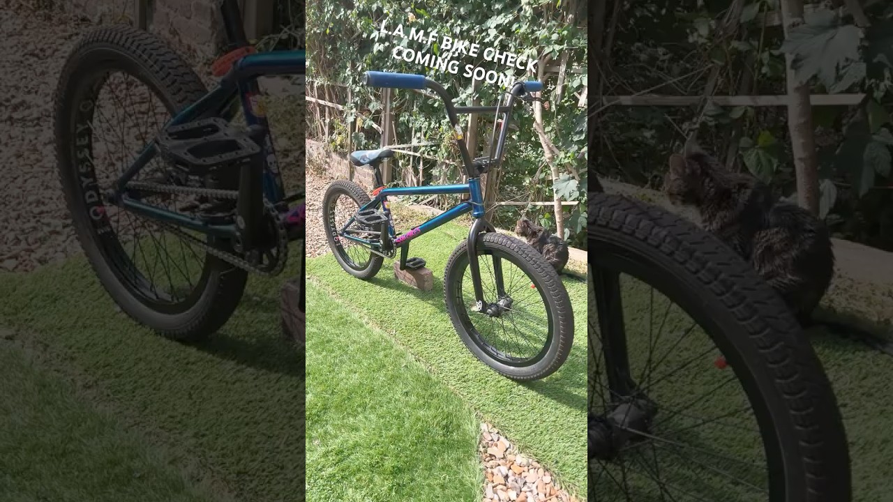 S&M LAMF BMX DREAM CUSTOM BUILD 🔥 | 