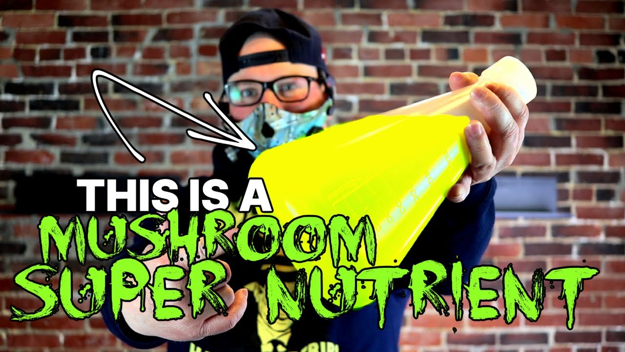 This nutrient is the best for mushrooms | It's a mushroom Super food!