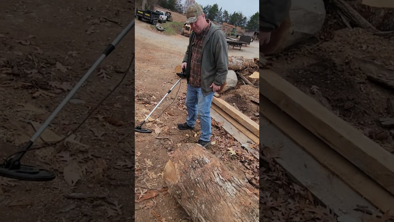 Is there metal in this log   #1