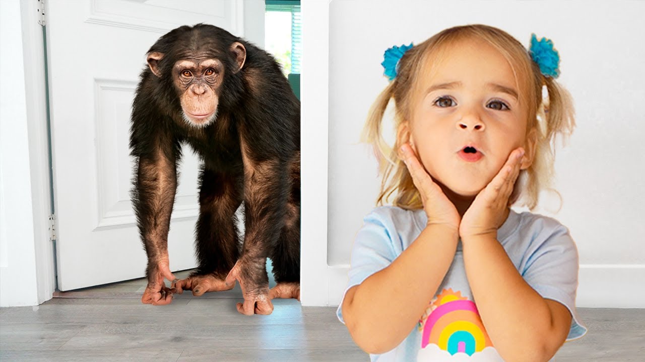 Alice explores animals by sounds and footprints