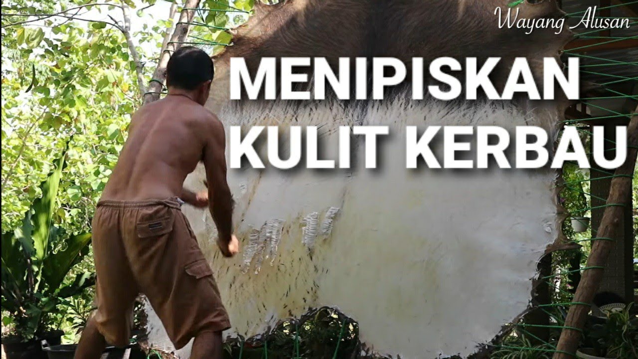 Proses Mengolah Kulit untuk Bahan Wayang Kulit
