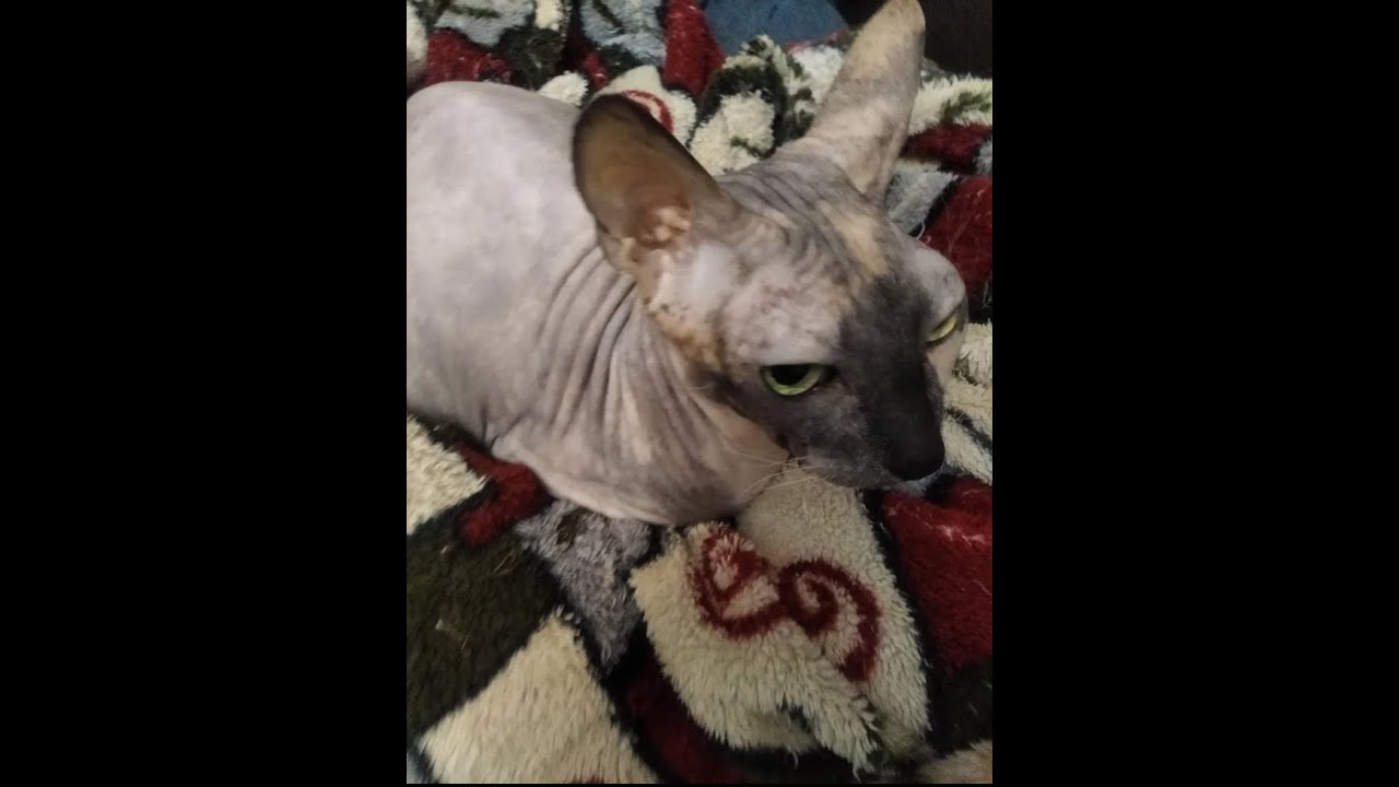 unmatched.gg 2v2 with viera|100% WIN ROULETTE