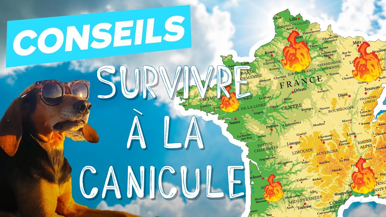 🌡 Comment survivre à la canicule ?
