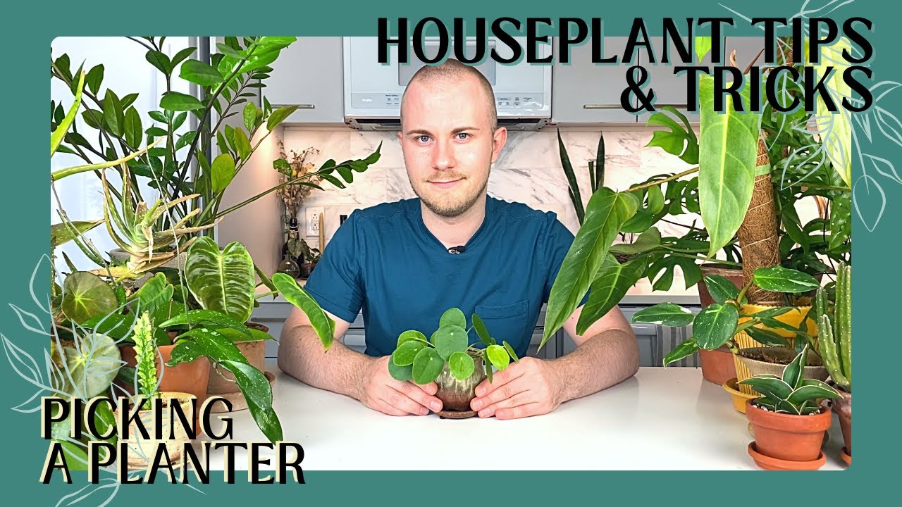How To Pick A Planter For Your Houseplant Or Succulent | Houseplant Tips & Tricks Ep. 1