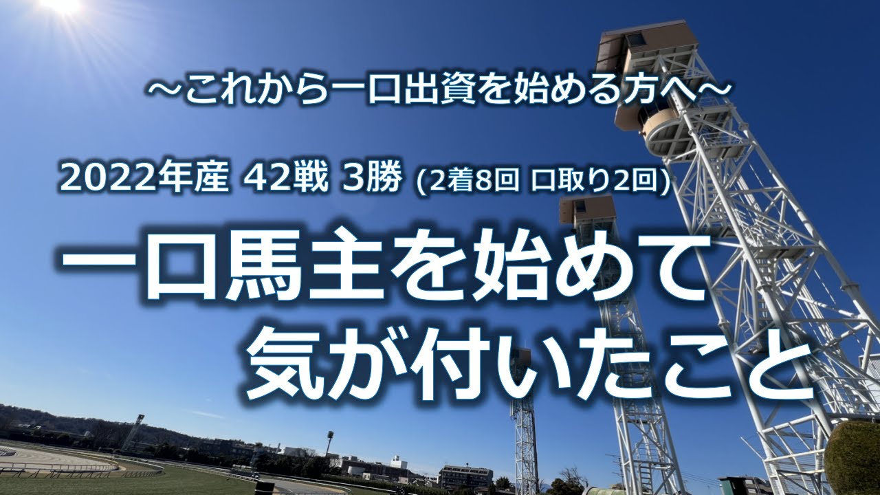 一口馬主を始めて、新たに知ったこと/気が付いたこと