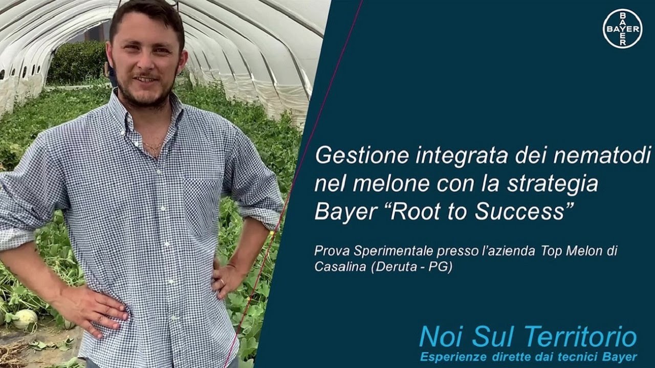 Noi Sul Territorio – La nuova strategia di Bayer per controllare i nematodi