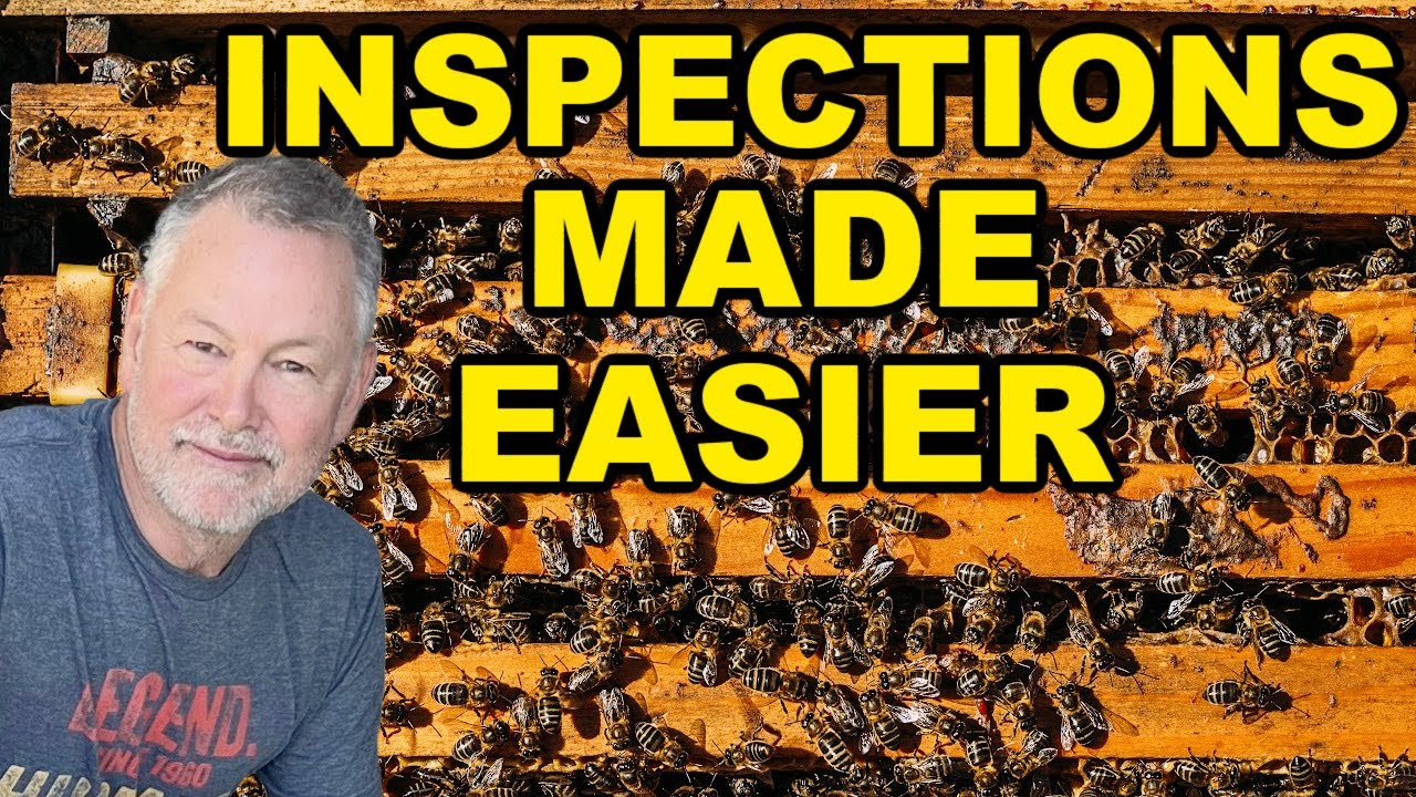 Beekeeping Inspections Made Simple With The Right Hive Tool