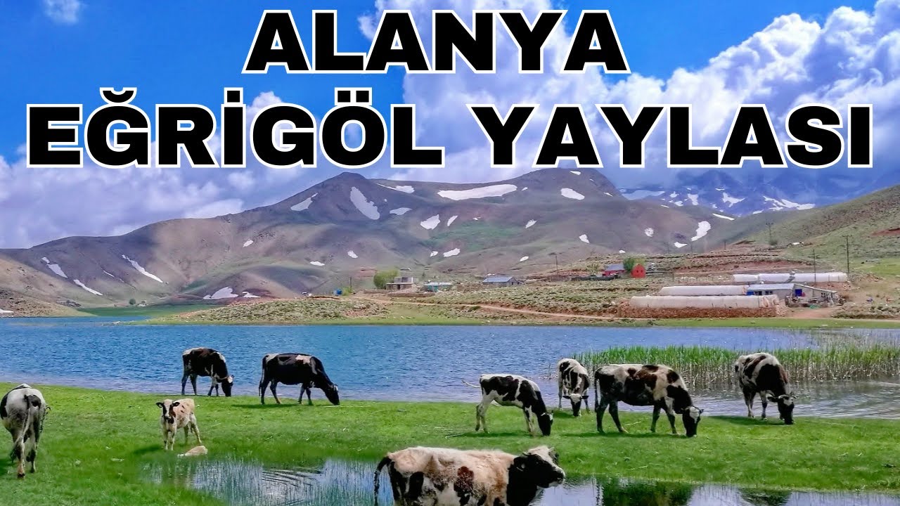 Alanya Eğrigöl Yaylası'nın Bütün Güzelliklerini Keşfettik!