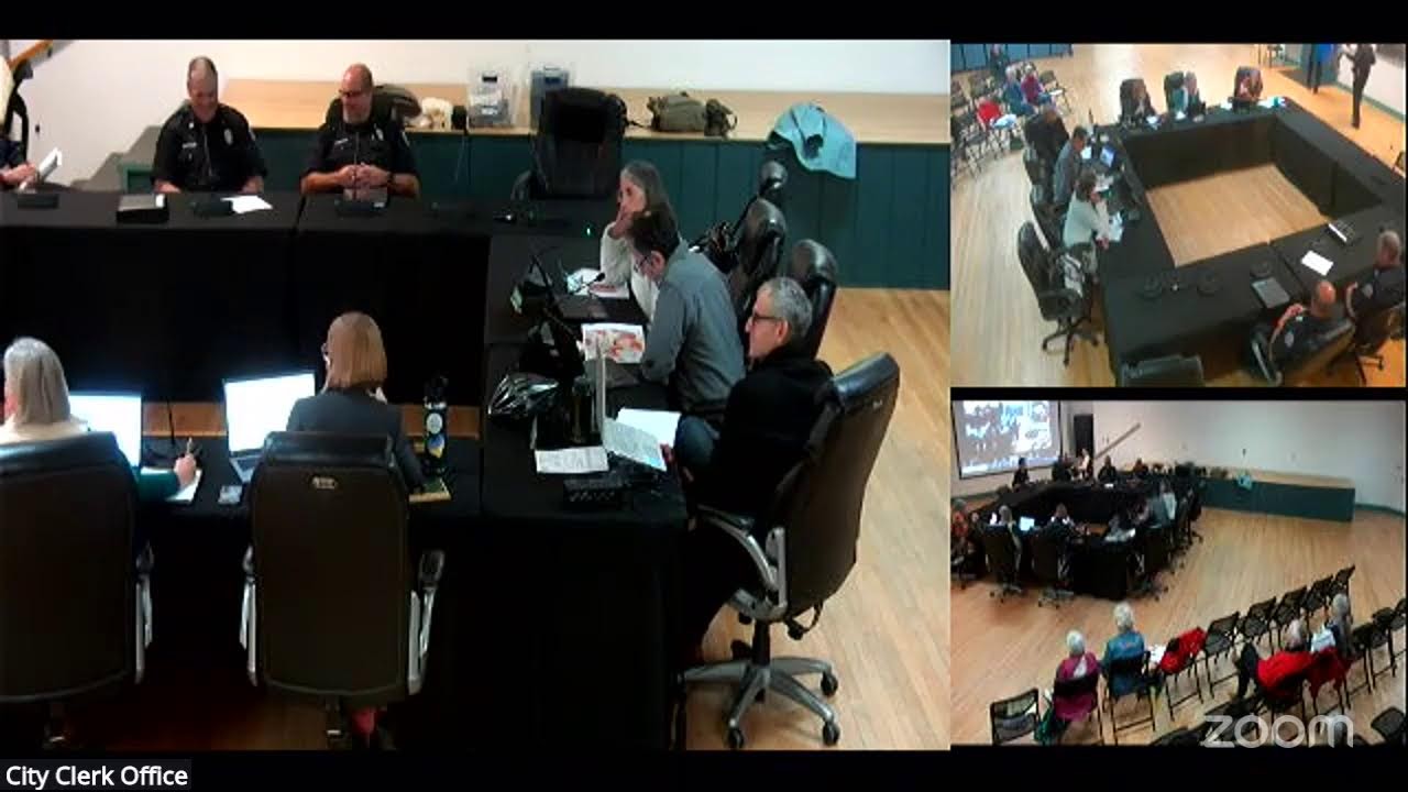 City Council Work Session Webinar