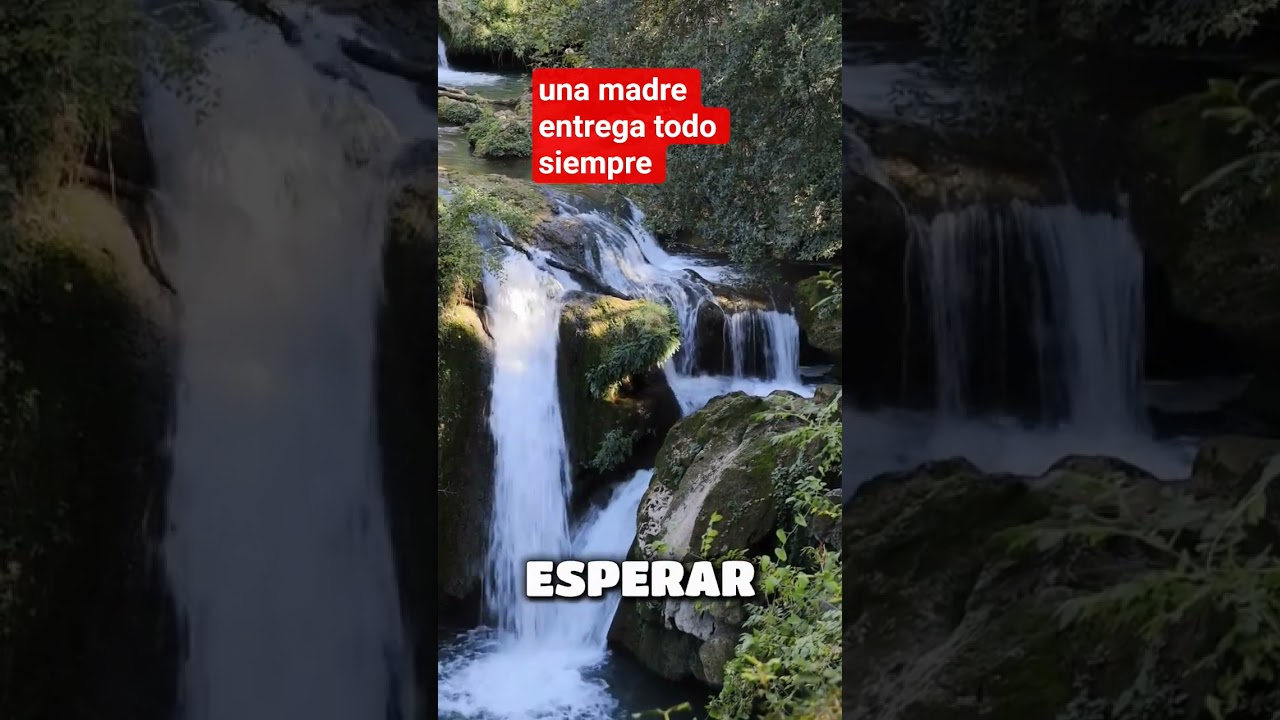 una madre siempre entrega todo por sus hijos 