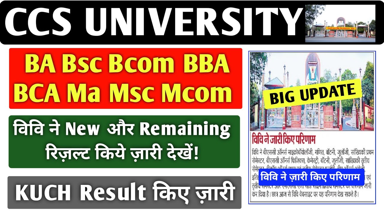 CCSU University Result 2026 📢 New + Remaining Result Released | Check Now #ccsu 