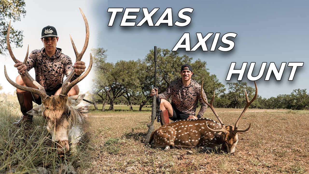Texas Axis Hunt // 