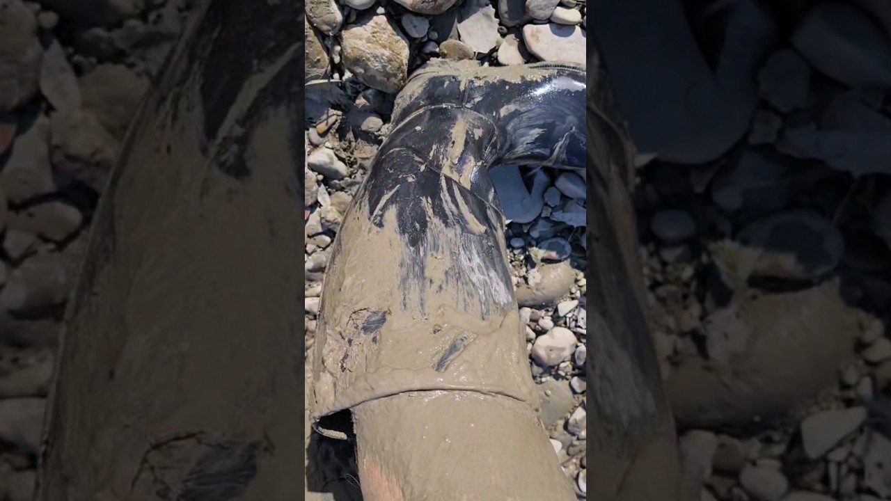 #rubberboots #rubberridingboots #mudboots #mudboots #ridingbootsfetish #muddy #muddyrubberboots