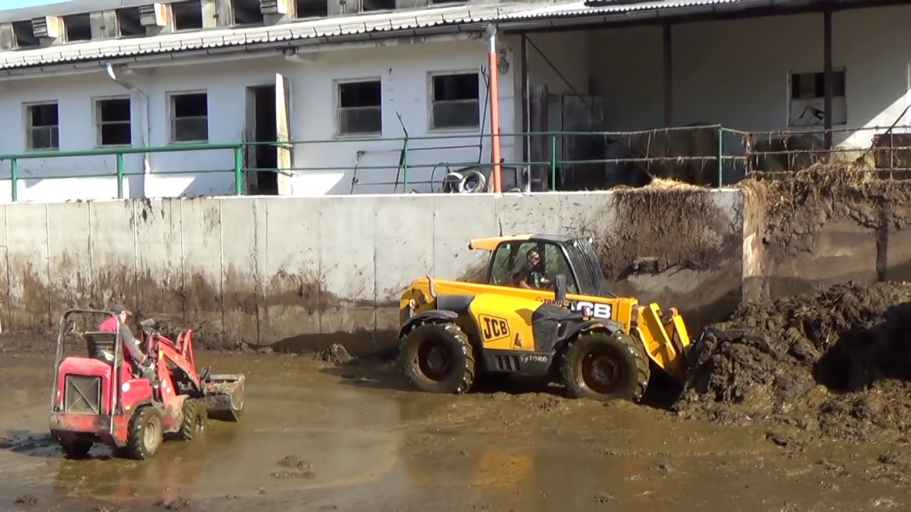 Manure - Vyvážení hnoje  2