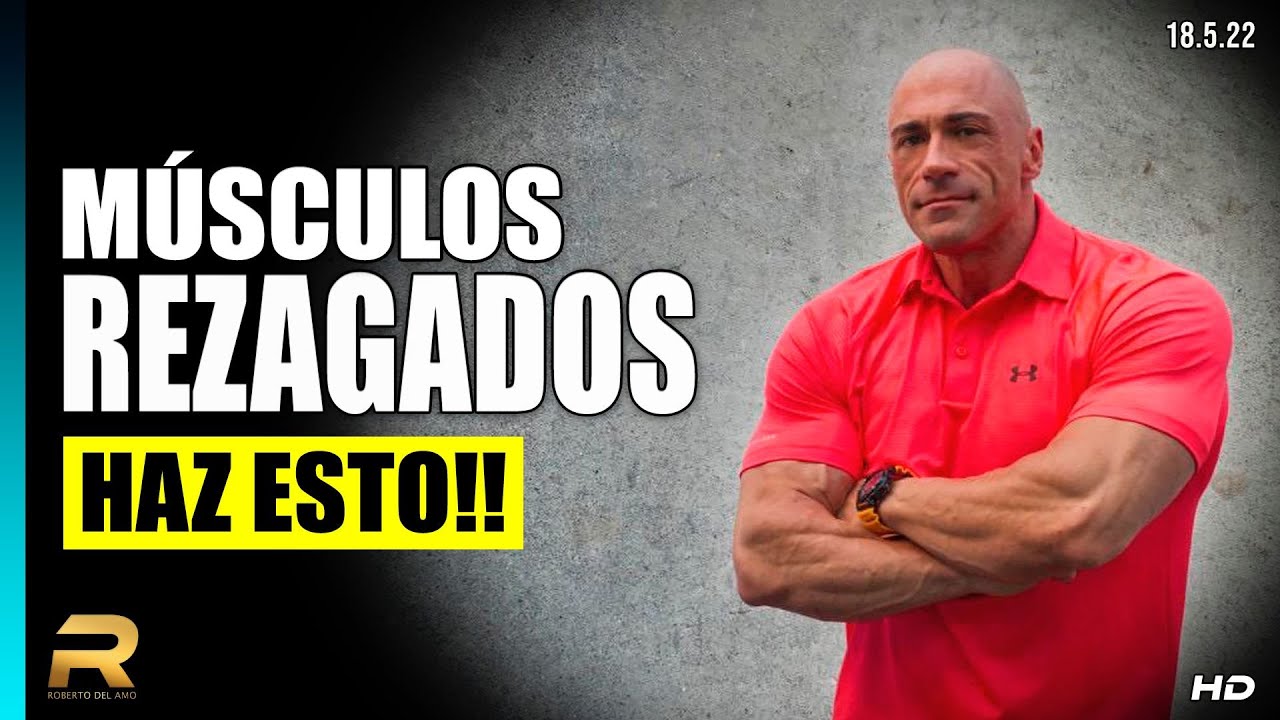 MÚSCULOS REZAGADOS  /  HAZ ESTO  👇