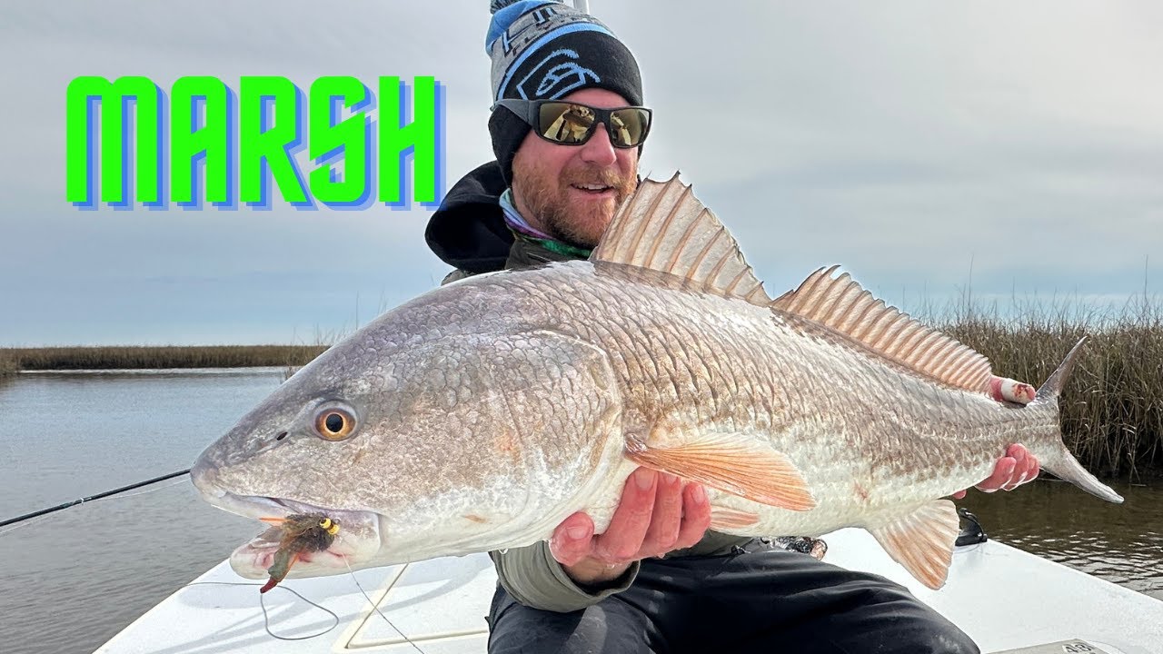 Fishing the MARSH - Redfish, Black Drum, Sheepshead