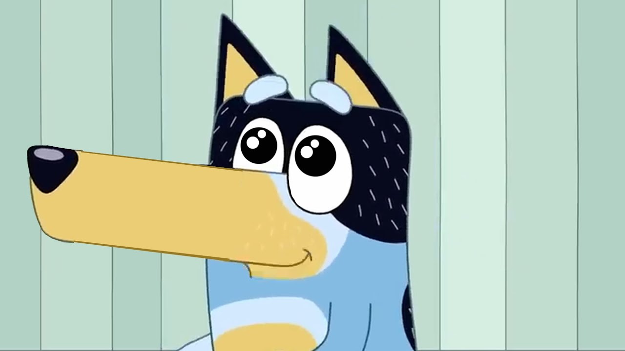 Бандит становится мемом о длинноносой собаке!!