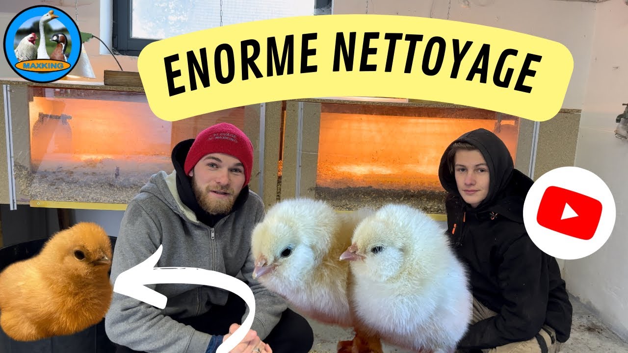 NETTOYAGE DE LA POUSSINIÈRE
