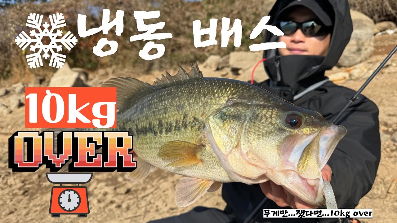 초겨울 배스 너무 잘나오는데요?!