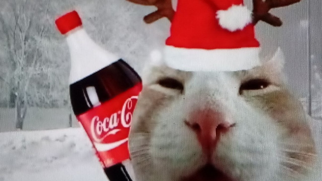 стрим по укарди брайнрота