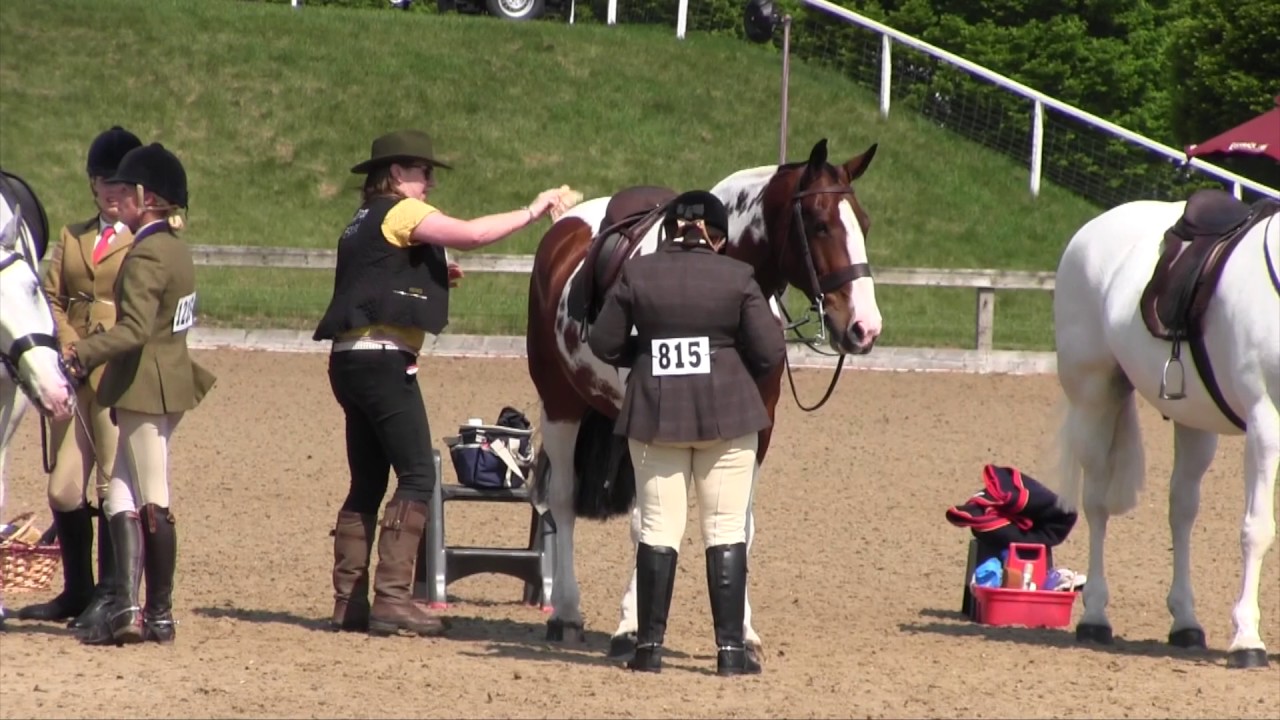 Behind the scenes at Royal Windsor – Star of the Show | Horse&Rider