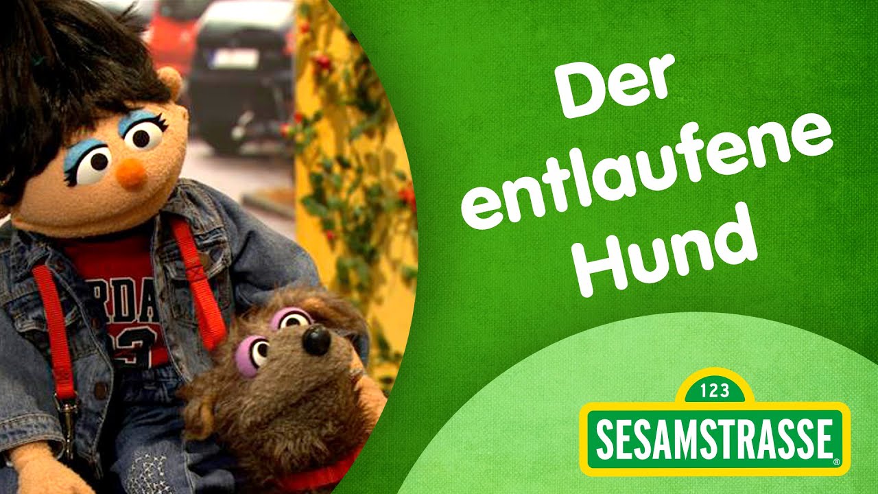Sesamstraße Folge 3007: Der entlaufene Hund | Sesamstraße | NDR