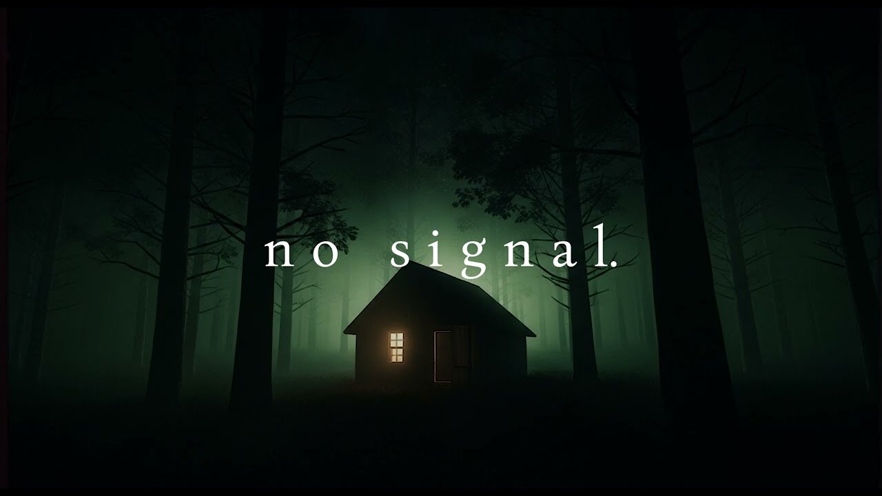 No Signal