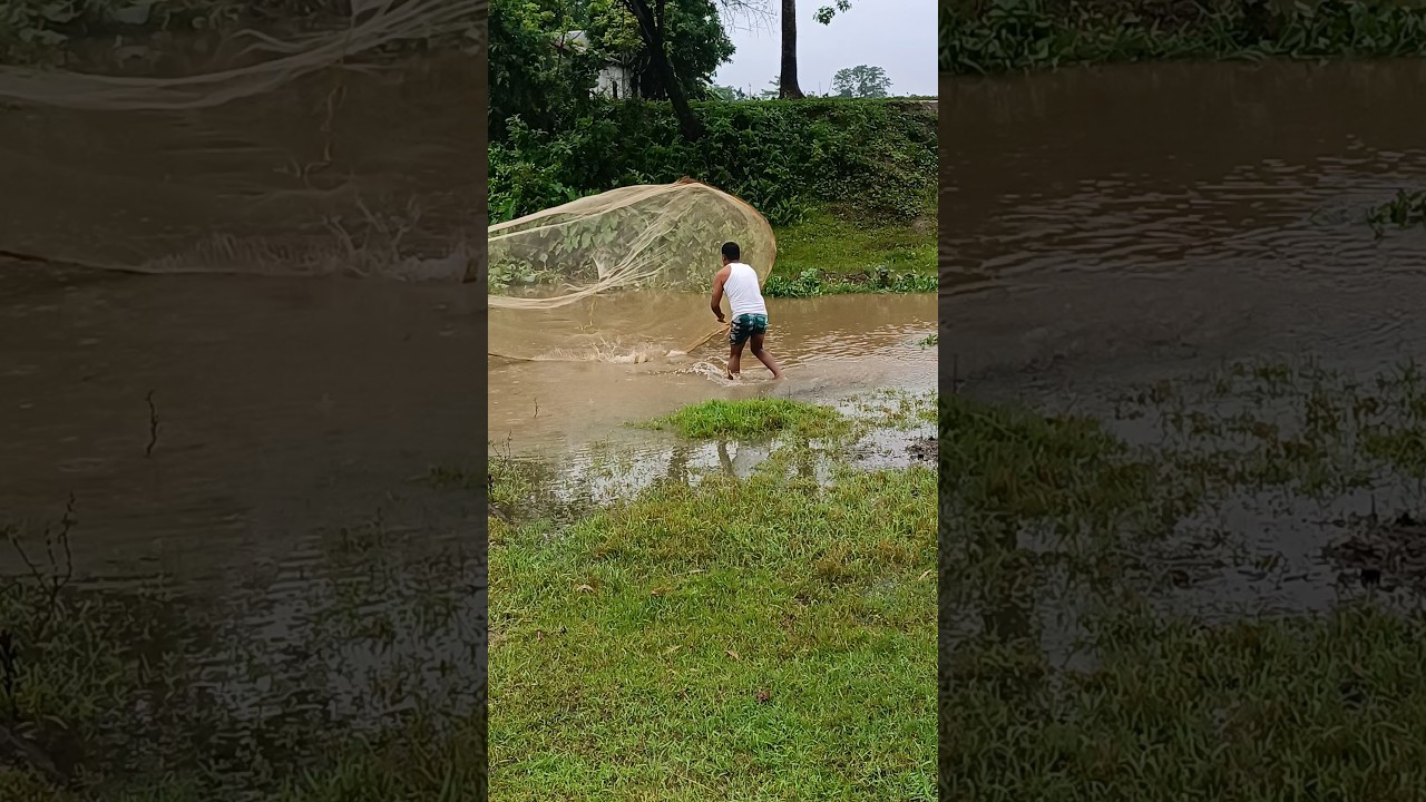 Amazing hand Net Fishing video #fishing #reels #fish