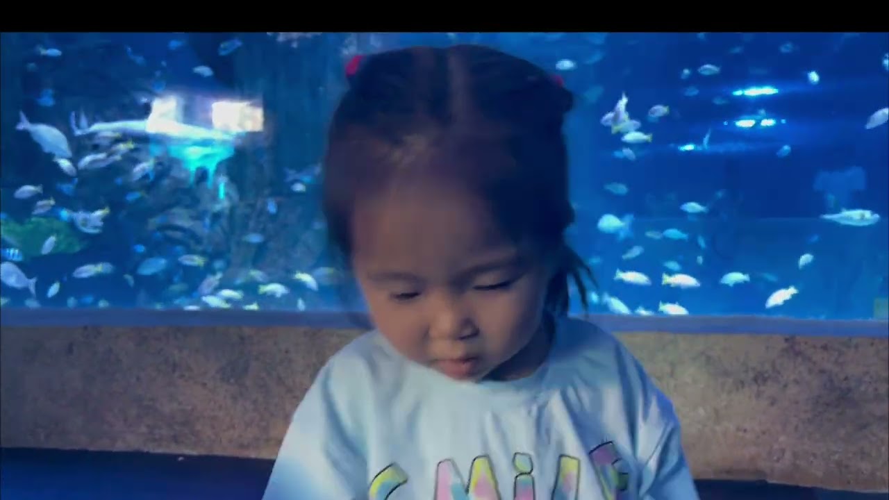 Thuỷ cung Vinpearl Nha Trang.