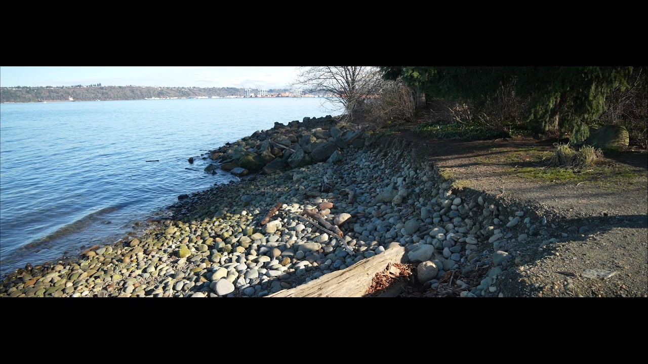 Jack Hyde Park and Old Town Dock, anamorphic widescreen, 4K 24fps, ASMR