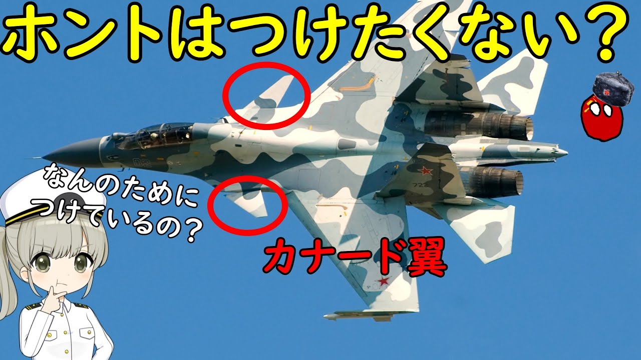 なぜ一部のフランカー戦闘機にはカナード翼が付いているの？