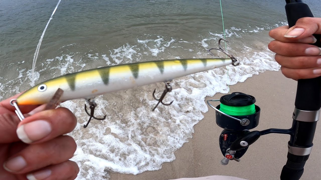 Большая бальса-синяя рыба — ловля на большую рапальскую гольянку с берега