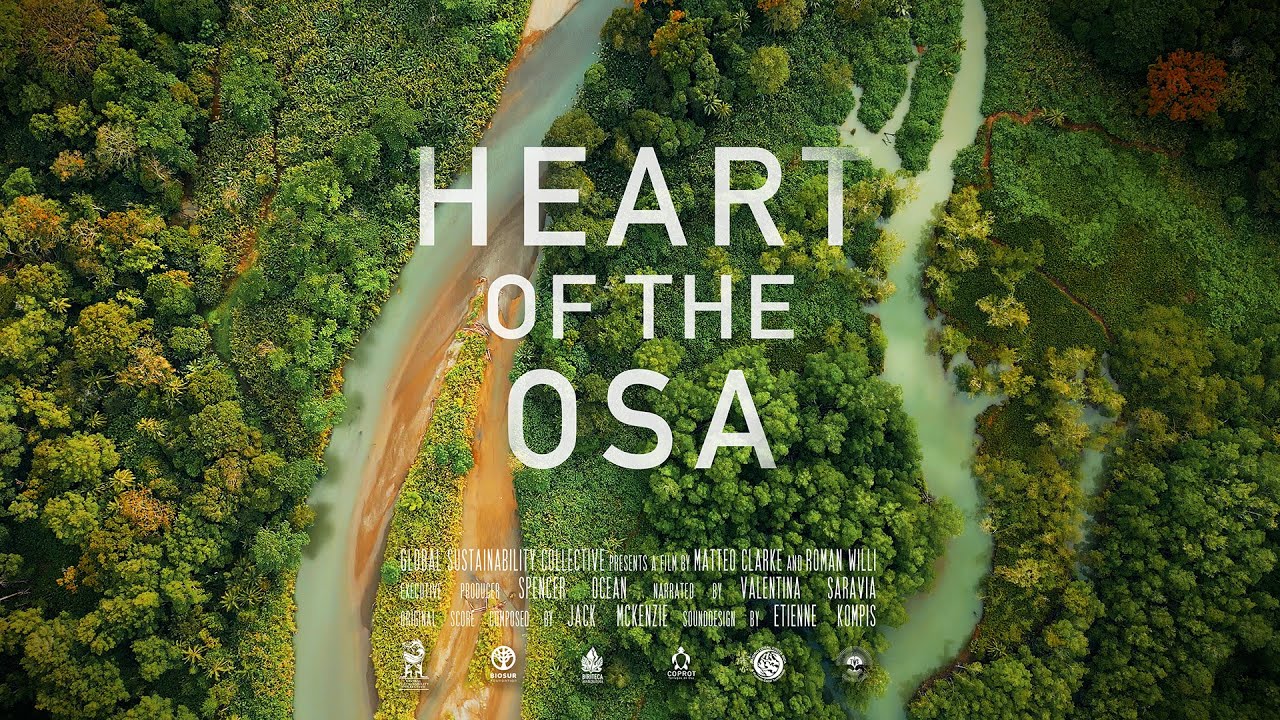HEART OF THE OSA (2024) - Full Short Documentary