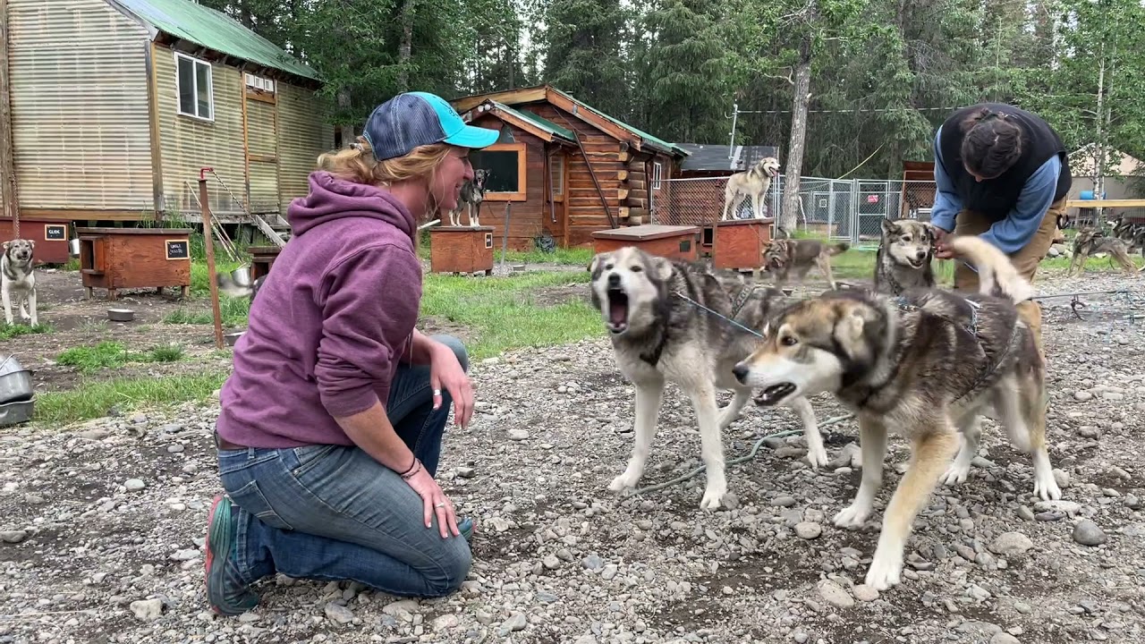 Squid Acres Kennel Tours