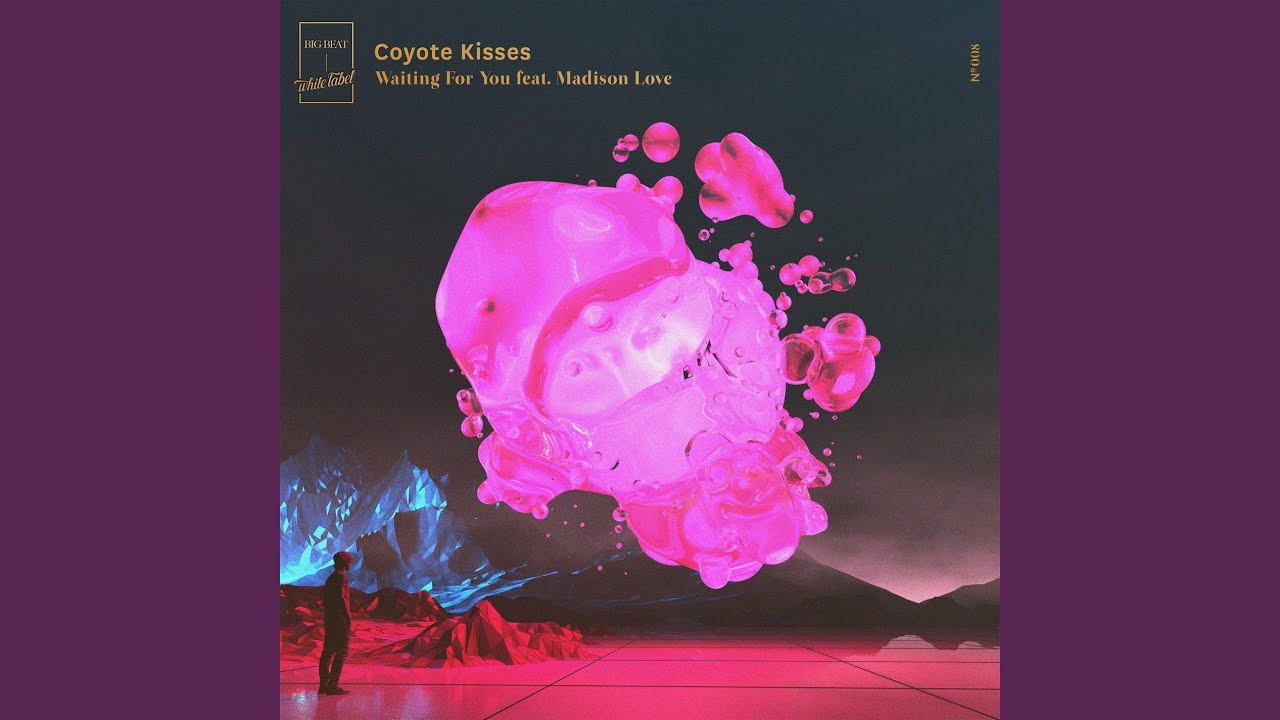 Waiting for You (feat. Madison Love)